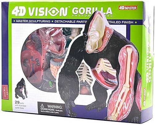 4D Dog Anatomy Model,Cat/Horse/Cow/Pig/AnimalCanine Skeleton, Animal Skeleton Specimen, Detachable Biology, Pet Clinic Veterinary TrainingSchool Teaching Tool,J - Poueer