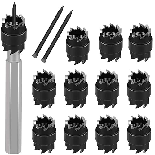 Spot Weld Cutter Set Double Sided,3/8' HSS Spot Weld Cutter Remover Drill Bits Hex Sheet Metal Hole Cutter Remover Kit for Power Drill Spot Welding, by NAKAO (16 Pcs) - Poueer