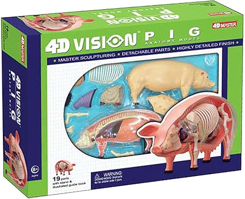 4D Dog Anatomy Model,Cat/Horse/Cow/Pig/AnimalCanine Skeleton, Animal Skeleton Specimen, Detachable Biology, Pet Clinic Veterinary TrainingSchool Teaching Tool,J - Poueer