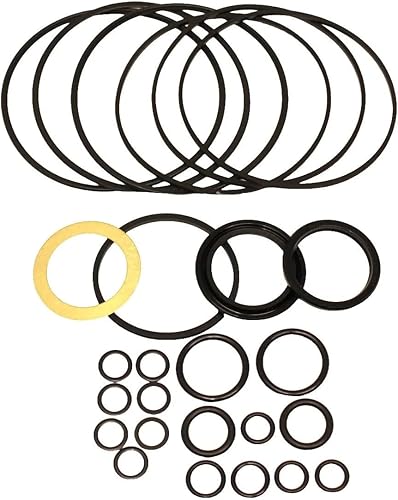 Aztec Hydraulics Replacement - Compatible with Seal Kit for Parker TB0130AS100AAAA - Hydraulic Motor - Poueer