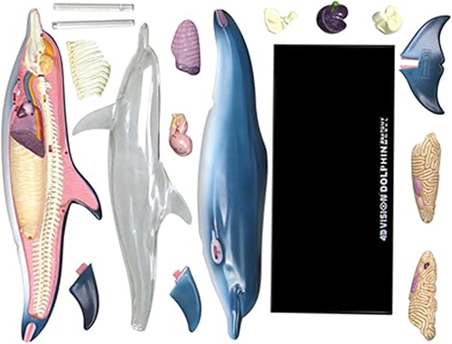 4D Dog Anatomy Model,Cat/Horse/Cow/Pig/AnimalCanine Skeleton, Animal Skeleton Specimen, Detachable Biology, Pet Clinic Veterinary TrainingSchool Teaching Tool,J - Poueer