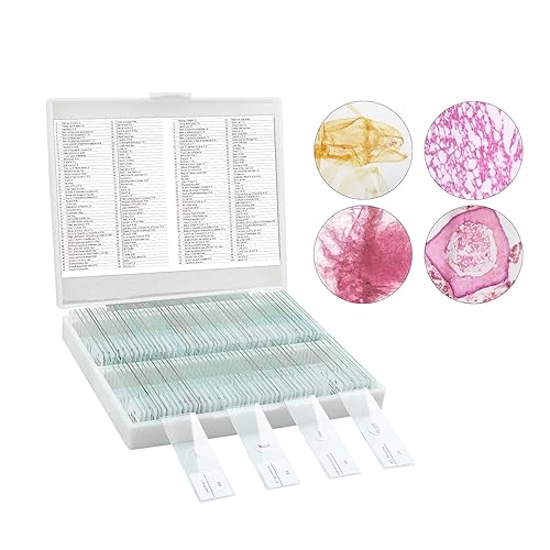 Microscope Slides, 100 Pcs Prepared Microscope Slides with Specimens for Kids Home School Class Learning - Poueer