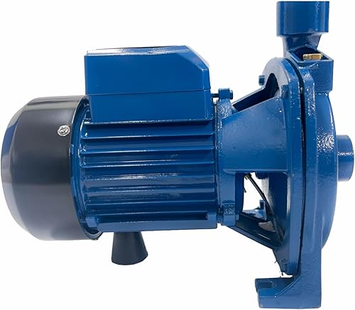 cpm158. Centrifuga Pump, Power 1 hp, 115V, Cooper Winding, 79ft Head, 24.2gpm Flow, S. Steel Shaft, Threaded inlet and outlet,Thermal protector,Brass priming plug. - Poueer