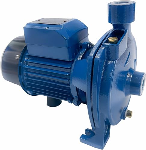 cpm158. Centrifuga Pump, Power 1 hp, 115V, Cooper Winding, 79ft Head, 24.2gpm Flow, S. Steel Shaft, Threaded inlet and outlet,Thermal protector,Brass priming plug. - Poueer