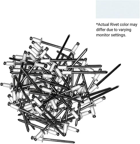 EAGLE 1: Stainless steel Rivets 1/8' x 1/4' (#43) (250, Light Stone) - Poueer