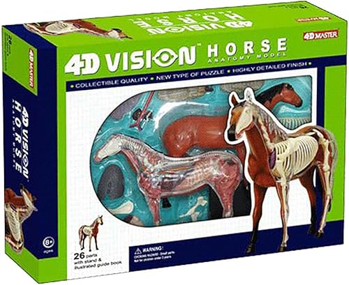 4D Dog Anatomy Model,Cat/Horse/Cow/Pig/AnimalCanine Skeleton, Animal Skeleton Specimen, Detachable Biology, Pet Clinic Veterinary TrainingSchool Teaching Tool,J - Poueer