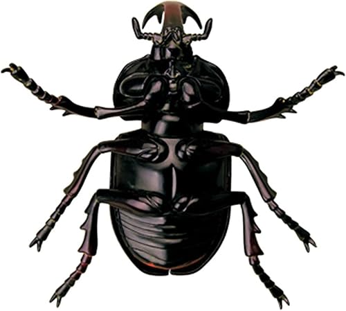 4D Dog Anatomy Model,Cat/Horse/Cow/Pig/AnimalCanine Skeleton, Animal Skeleton Specimen, Detachable Biology, Pet Clinic Veterinary TrainingSchool Teaching Tool,J - Poueer