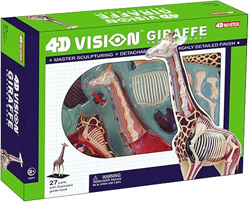 4D Dog Anatomy Model,Cat/Horse/Cow/Pig/AnimalCanine Skeleton, Animal Skeleton Specimen, Detachable Biology, Pet Clinic Veterinary TrainingSchool Teaching Tool,J - Poueer