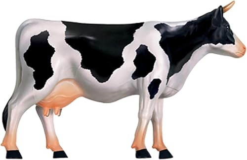 4D Dog Anatomy Model,Cat/Horse/Cow/Pig/AnimalCanine Skeleton, Animal Skeleton Specimen, Detachable Biology, Pet Clinic Veterinary TrainingSchool Teaching Tool,J - Poueer