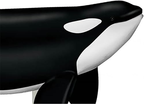 4D Dog Anatomy Model,Cat/Horse/Cow/Pig/AnimalCanine Skeleton, Animal Skeleton Specimen, Detachable Biology, Pet Clinic Veterinary TrainingSchool Teaching Tool,J - Poueer