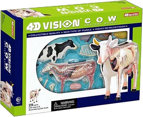 4D Dog Anatomy Model,Cat/Horse/Cow/Pig/AnimalCanine Skeleton, Animal Skeleton Specimen, Detachable Biology, Pet Clinic Veterinary TrainingSchool Teaching Tool,J - Poueer