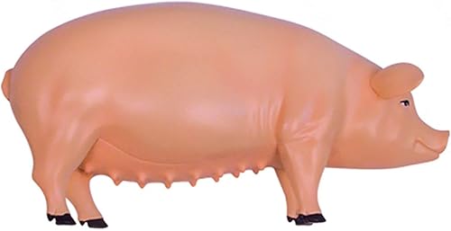 4D Dog Anatomy Model,Cat/Horse/Cow/Pig/AnimalCanine Skeleton, Animal Skeleton Specimen, Detachable Biology, Pet Clinic Veterinary TrainingSchool Teaching Tool,J - Poueer