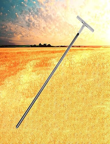Grain Sampling Probe - Stainless Steel Sampler Soil Test Kits Soil Probes Tool for Granule and Solid Sack Bag Sampling(2.8cm,150cm) - Poueer